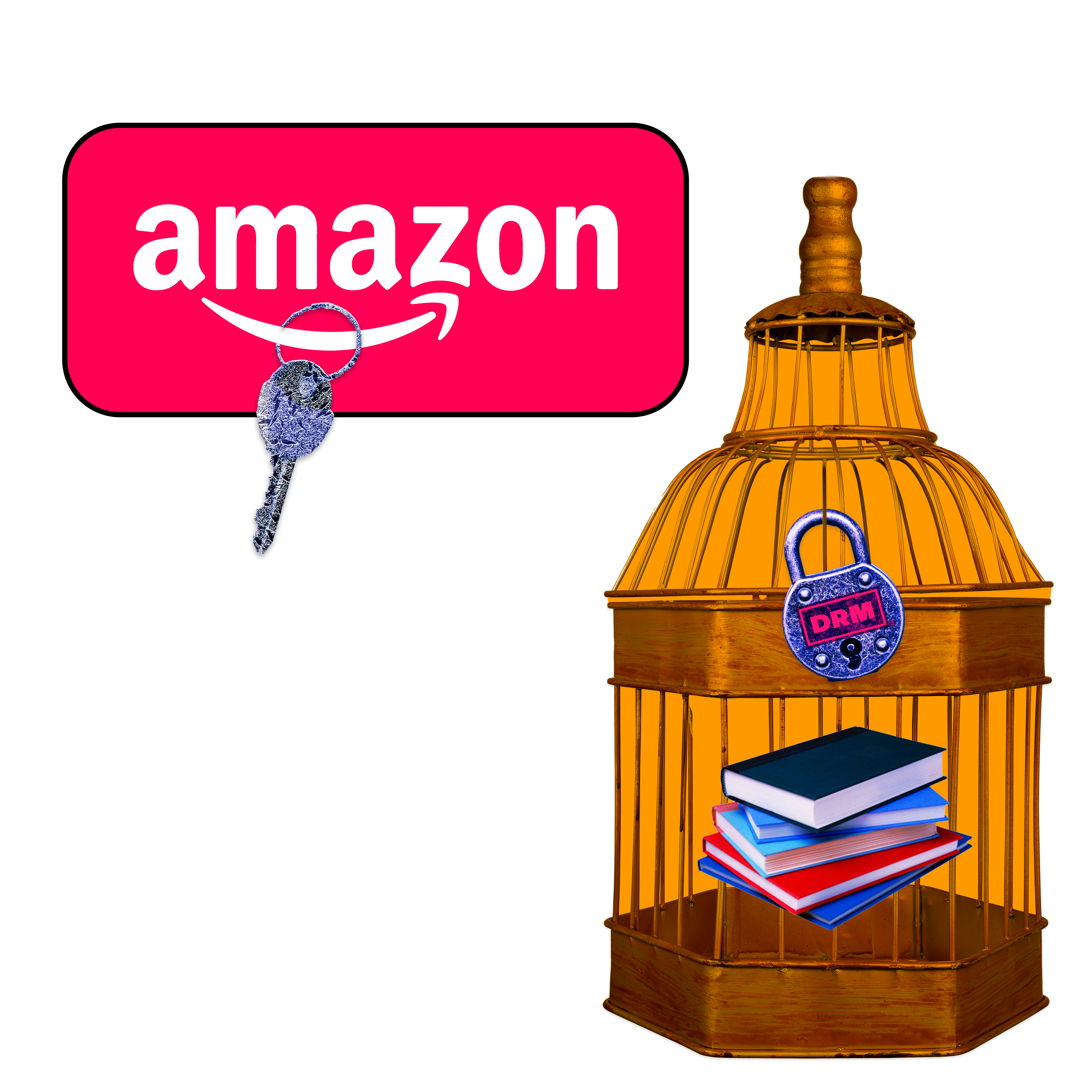 amazon locking books in a birdcage with a key using drm for freak club article.png